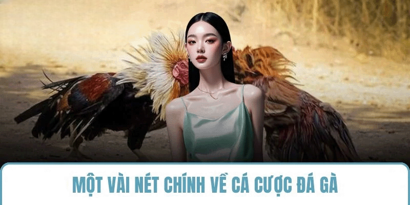 Đá Gà SHBET – Sân Chơi Cá Cược Uy Tín